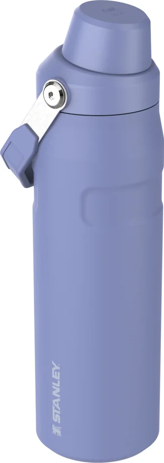 IceFlow Fast Flow Flasche 0.7l hydrangea