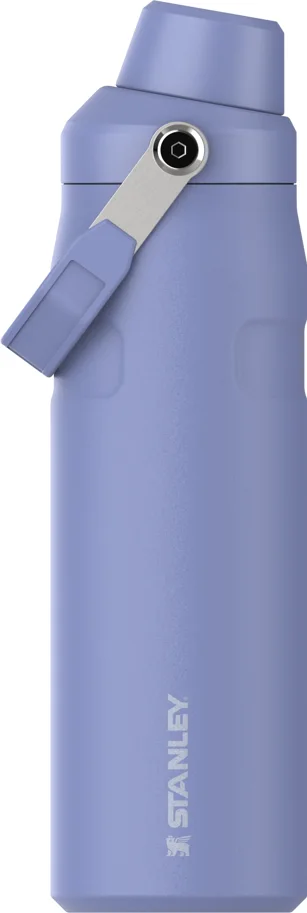 IceFlow Fast Flow Flasche 0.7l hydrangea