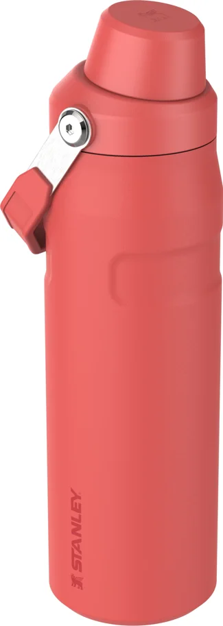 IceFlow Fast Flow Flasche 0.7l hot coral