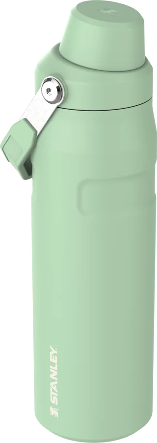 IceFlow Fast Flow Flasche 0.7l pistachio