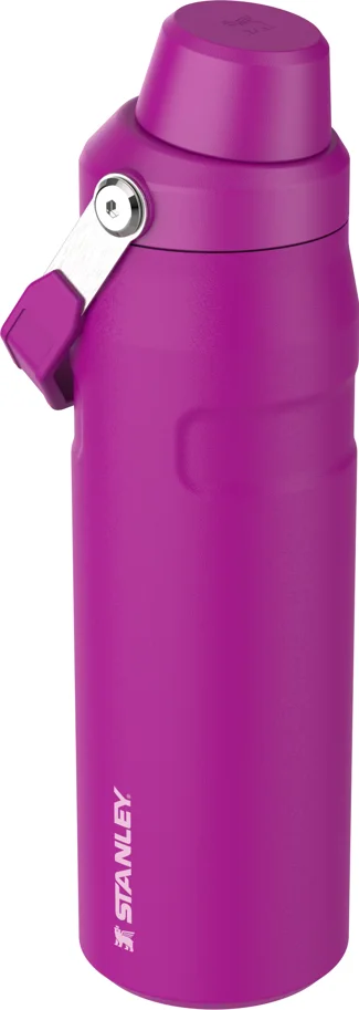 IceFlow Fast Flow Flasche 0.7l violet blossom