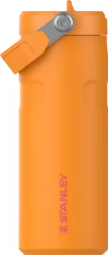 IceFlow Flip Straw Flasche 0.47l goldenrod coral