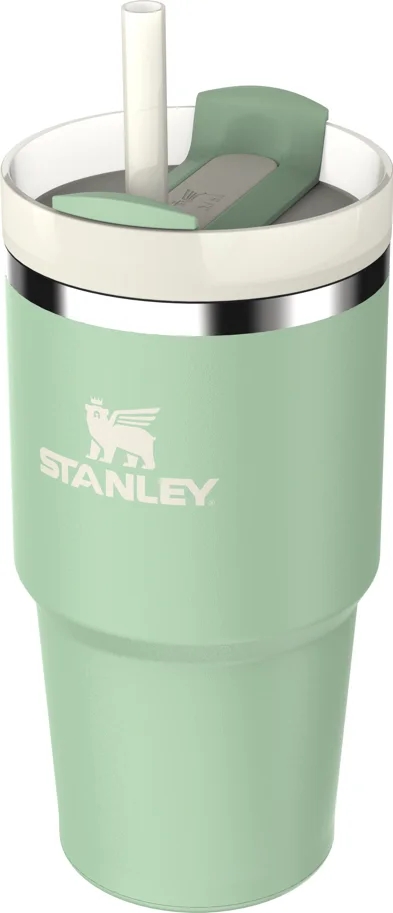 Quencher FlowState 0.6l pistachio