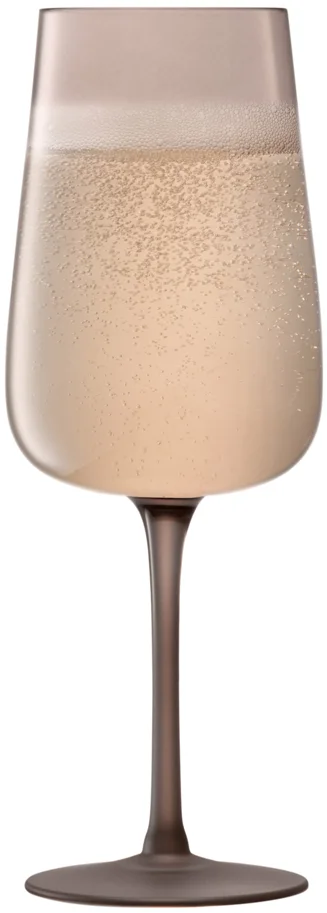 2er Set Arc Contrast Sektglas 280ml earth
