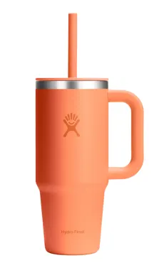 Reisebecher mit Trinkhalm 710ml nectar