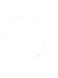 305207-2.jpg