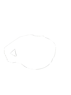 305207-4.jpg