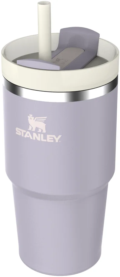 Quencher FlowState 0.6l purple dust