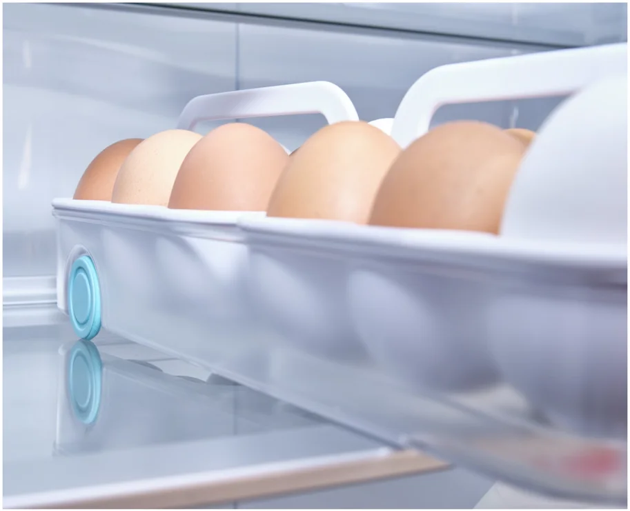 FridgeStore Kühlschrank Eierhalter Regal