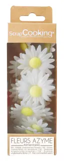 306300.jpg